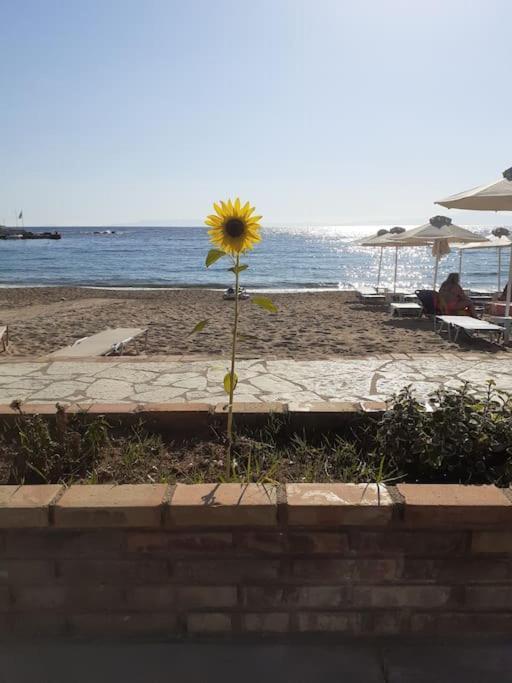 Stoupa Beachside Retro Apartment מראה חיצוני תמונה